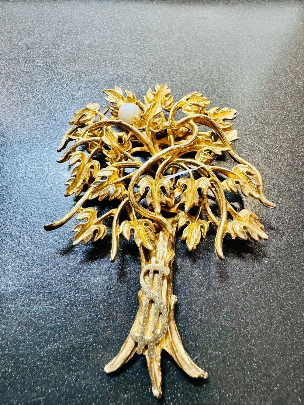 Does Money Grow on Trees- Brooch - so cute!!